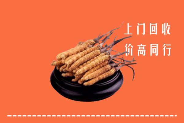 高价求购：梁子湖区回收散虫草