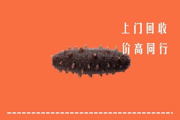 高价求购：梁子湖区回收海参
