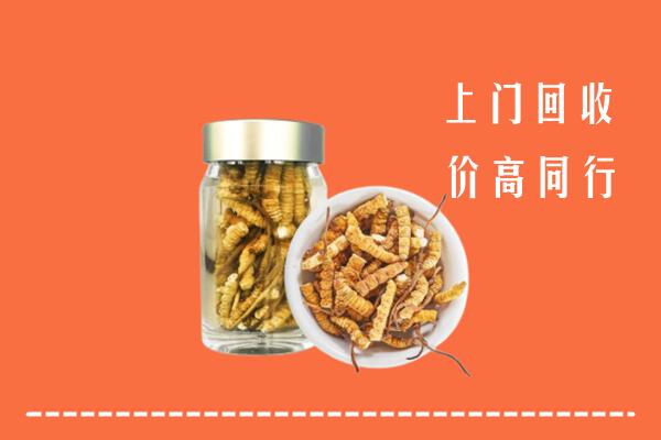 收购行情：梁子湖区回收冬虫夏草